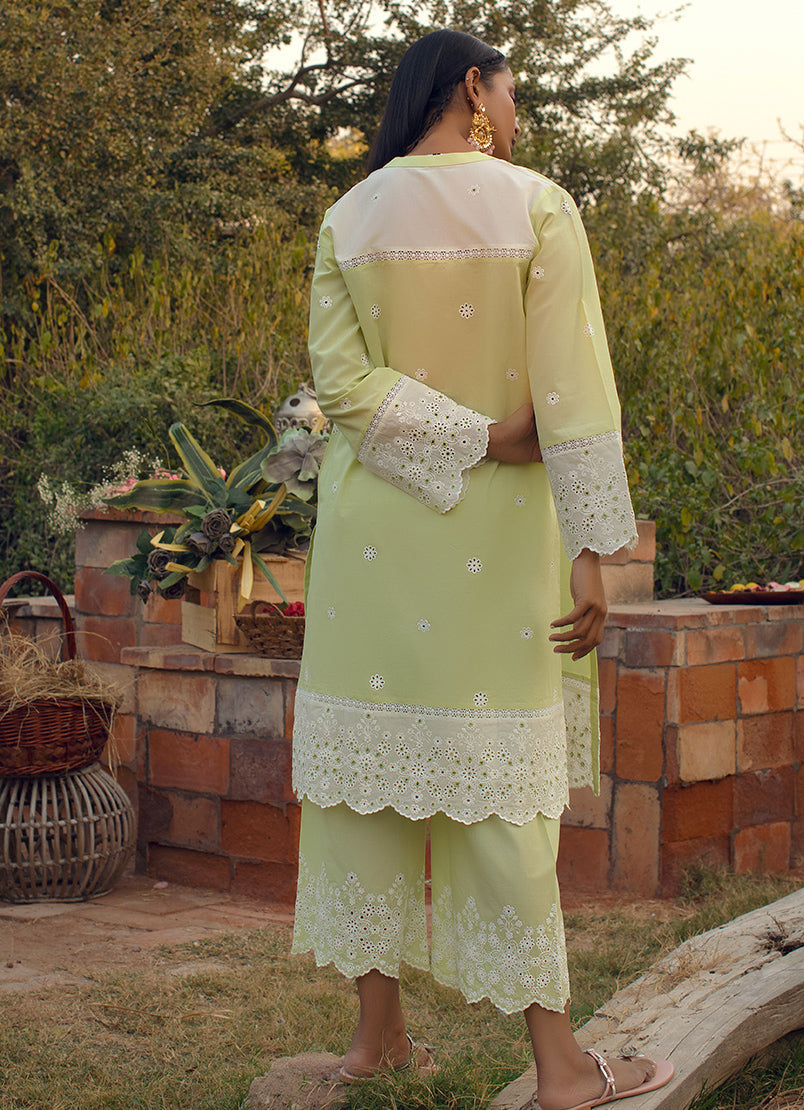 pistachio-green-embroidered-co-ord-set